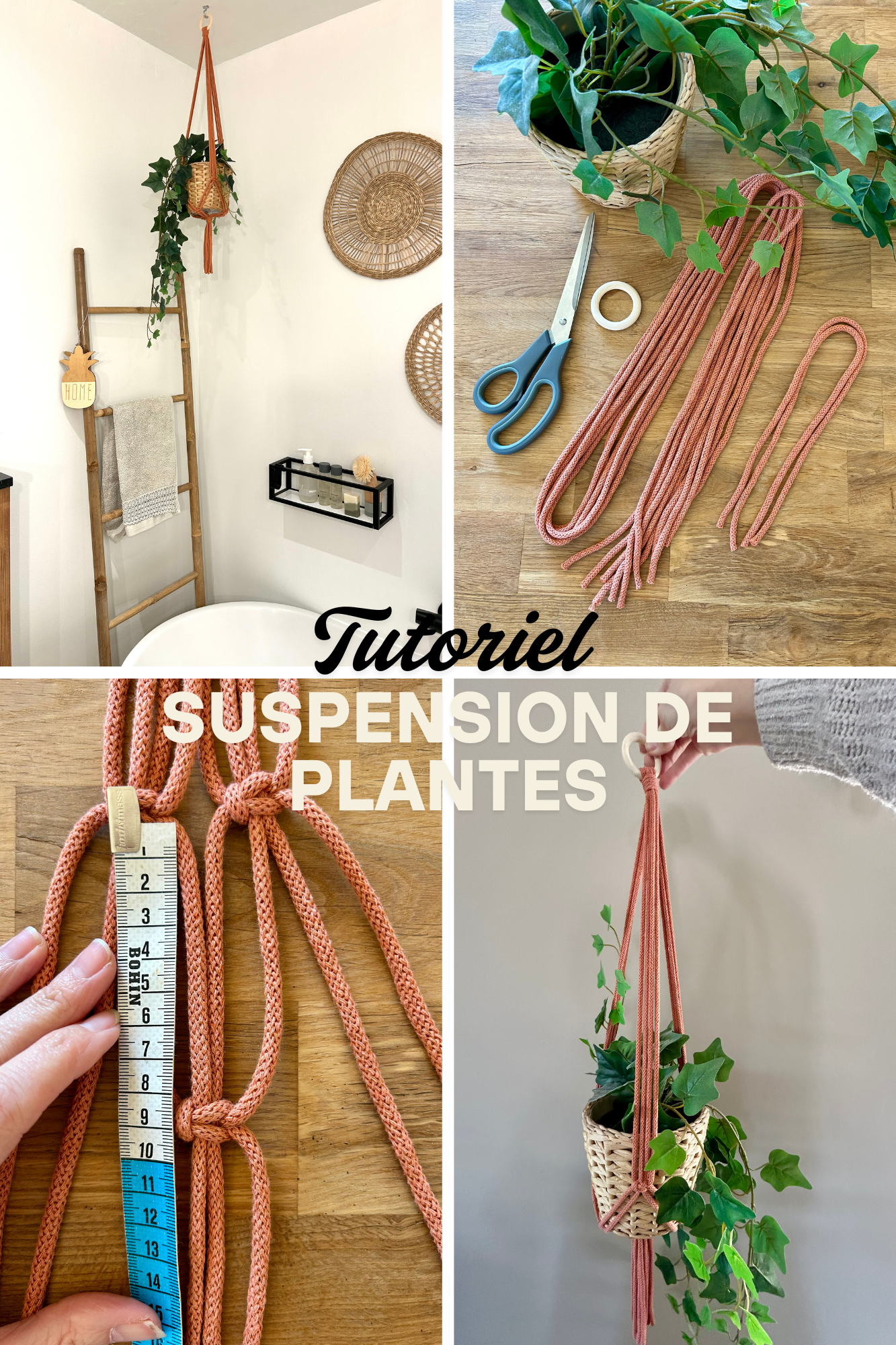 diy gratuit suspension de plantes